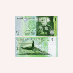 Tonga : Billete de 1 Paanga 2008 - UNC